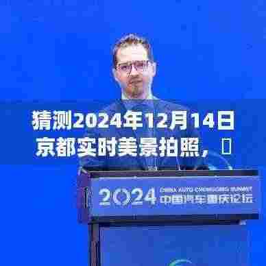 京都秘境探秘，预见未来美景，心灵之旅启程于京都实时美景拍照日（2024年12月14日）