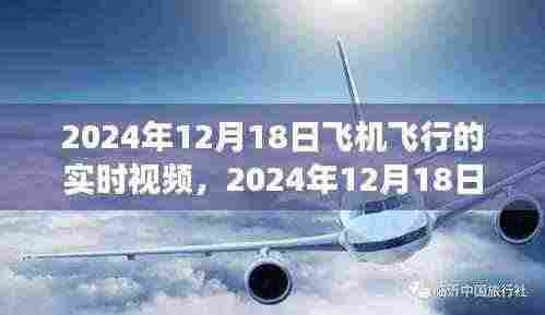 探索空中之旅，实时观看飞机飞行体验