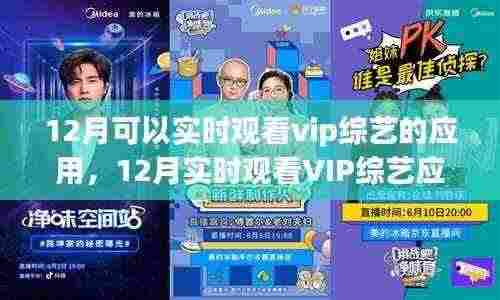 12月实时观看VIP综艺应用解析与体验分享