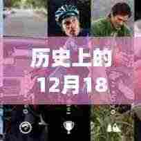 导航仪的秘密往事，实时导航与爱与陪伴的温馨故事