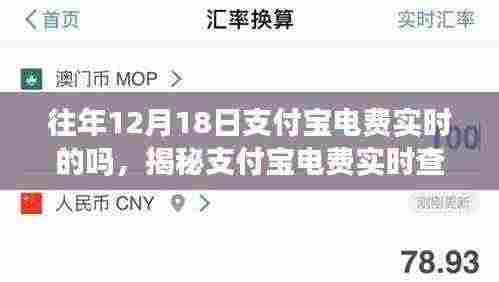 揭秘支付宝电费实时查询功能，历年12月18日电费查询详解
