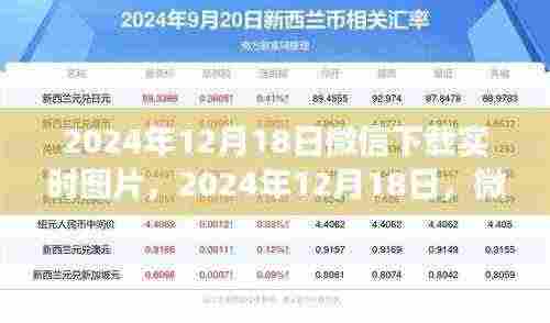 微信下载实时图片，寻找内心平静的绿色之旅纪实分享