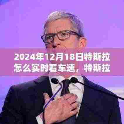 特斯拉实时车速监控指南，掌握速度与激情，2024年更新版（特斯拉车主必备指南）