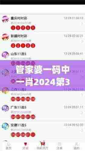管家婆一码中一肖2024第353期,数据驱动设计策略_钱包版1.373