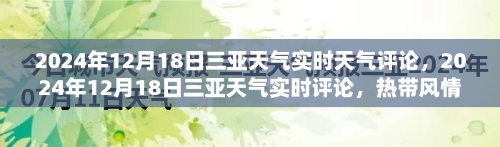 三亚热带风情下的天气实时体验报告，2024年12月18日天气评论