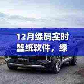 绿码时代之光，12月实时壁纸软件的兴起、影响与功能解析