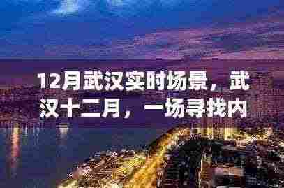 武汉十二月，寻找内心平静的绿色之旅实时场景