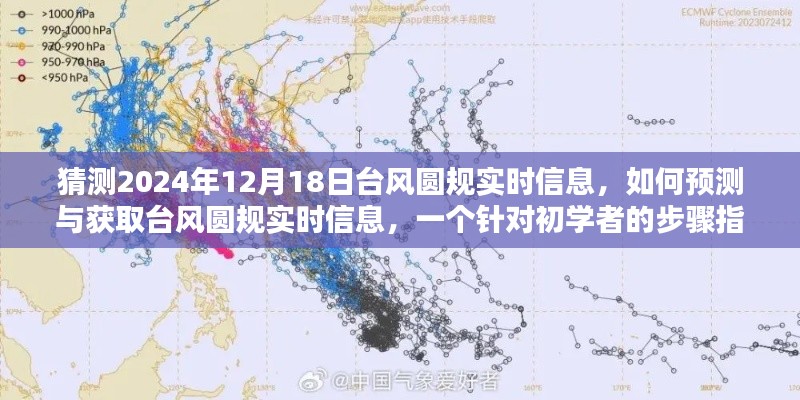 初学者必备，台风圆规实时信息预测与获取步骤指南，猜测2024年12月18日台风动态