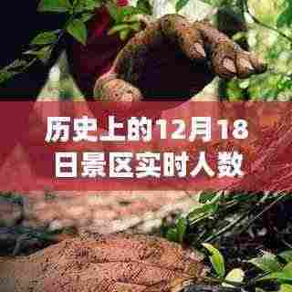 历史上的今天景区实时人数背后的励志故事，自信与成就感的魔法之旅揭秘！