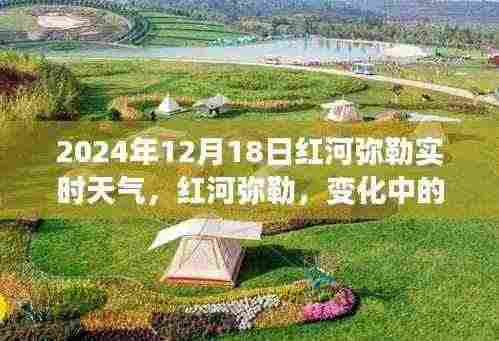 红河弥勒实时天气与励志故事，阳光下的学习力量，2024年12月18日