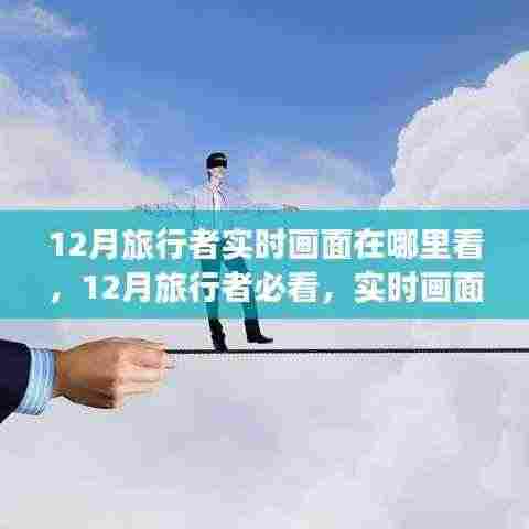 12月旅行者必看,实时画面欣赏指南