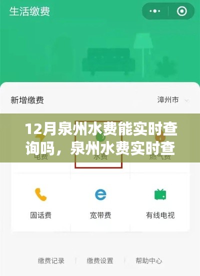 泉州水费实时查询指南，初学者与进阶用户必看，12月用水费用轻松掌握