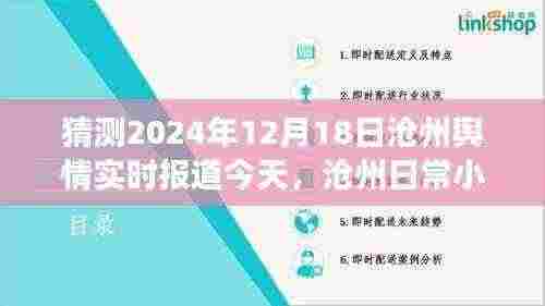 沧州温情脉脉日常小记，2024年12月18日舆情实时报道