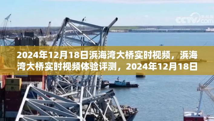浜海湾大桥实时视频体验评测，新视界下的壮丽景观