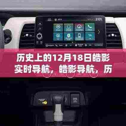 鸢飞戾天 第5页