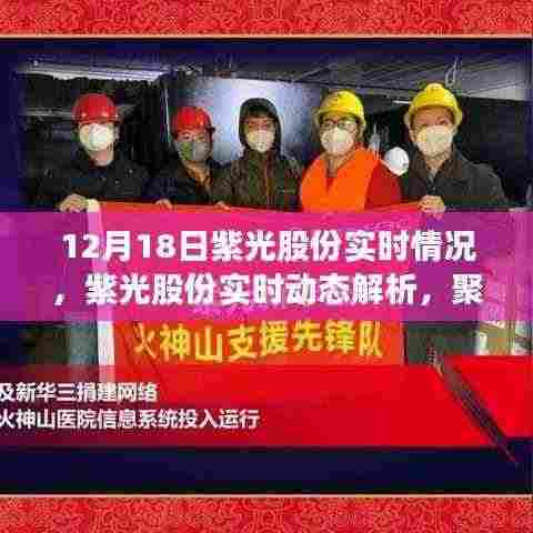 聚焦紫光股份实时动态，洞悉未来发展趋势（12月18日版深度解析）