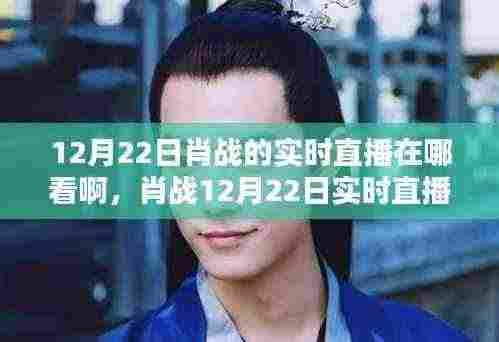 肖战12月22日直播观看指南，实时直播、全面评测与深度分析