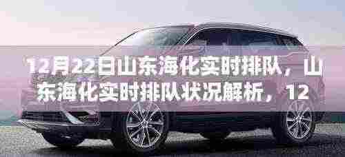 山东海化实时排队状况解析，最新动态概览（12月22日）