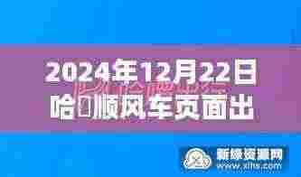 哈啰顺风车新篇章，实时快车开启心灵之旅，2024年最新动态！