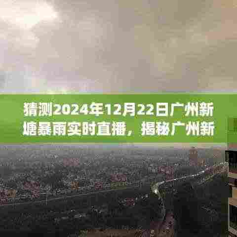 揭秘广州新塘暴雨现象，直播体验与气象奥秘探寻（2024年视角）