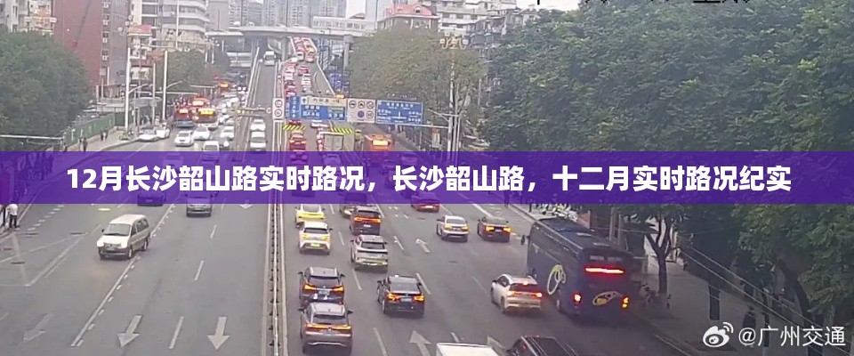 粗心大意 第4页