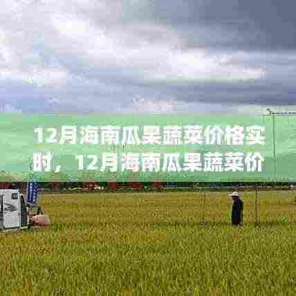 12月海南瓜果蔬菜价格实时更新，季节性波动与市场动态深度解析