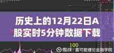 初学者与进阶用户攻略