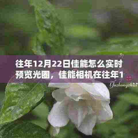 佳能相机光圈实时预览功能深度解析，历史、实现与观点阐述（往年12月22日篇）