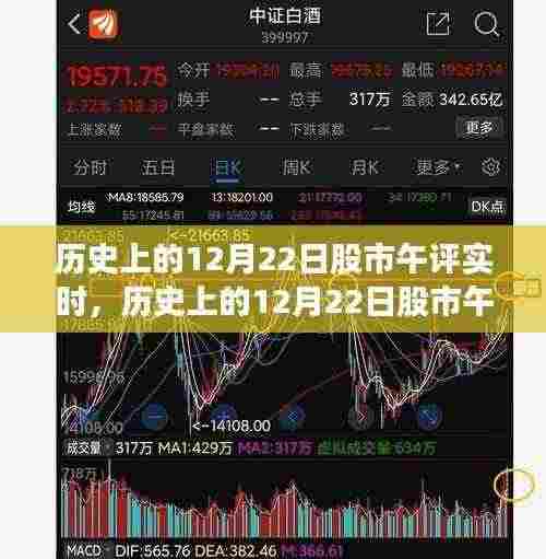 历史上的12月22日股市午评实时解析，股市行情指南（适合初学者与进阶用户）