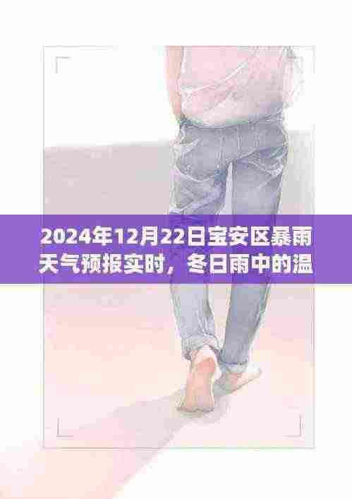 冬日雨中温情纽带，宝安区暴雨下的家庭故事，2024年12月22日实时天气预报