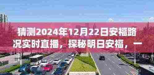 明日安福路况实时直播，探寻内心平静的旅程预告