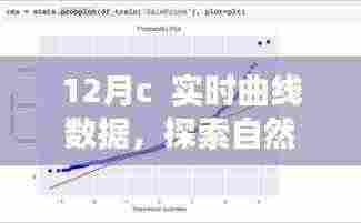 十二月C实时曲线数据，自然美景探索之旅，寻找内心的宁静与喜悦