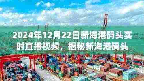 揭秘新海港码头美食宝藏，直播盛宴开启！2024年12月22日实时直播视频揭晓美食秘密！