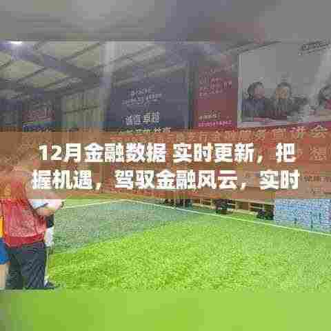 实时更新的12月金融数据引领自信成就之路