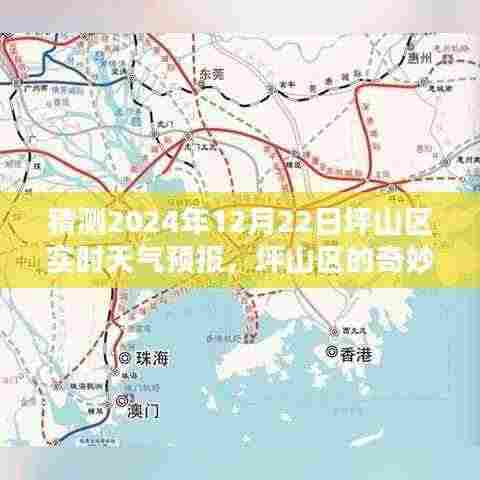 坪山区天气预报猜想，2024年12月22日天气展望，爱与陪伴的天气预报日