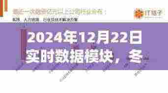 冬日暖阳下的数据奇遇，2024年12月22日实时数据模块的故事与数据温馨分享