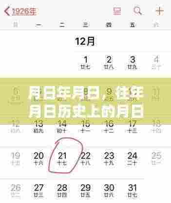 浦江历史与实时天气查询