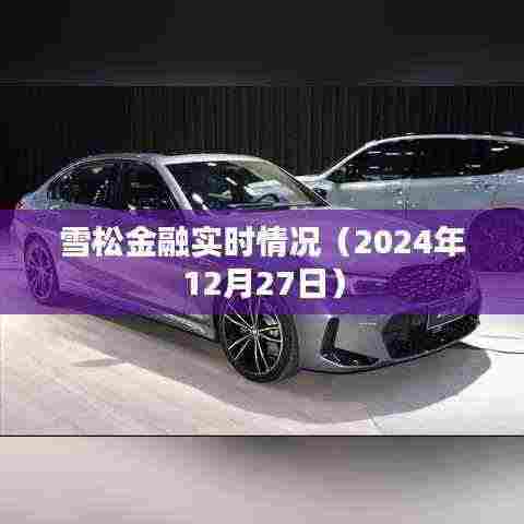 雪松金融最新动态，2024年12月27日实时分析