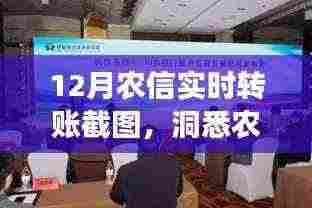 农信实时转账截图揭示农村金融市场新动态