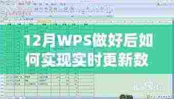 WPS实时更新数据方法指南，12月操作教程