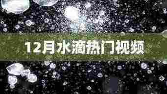 水滴热门视频大赏,精彩瞬间一网打尽