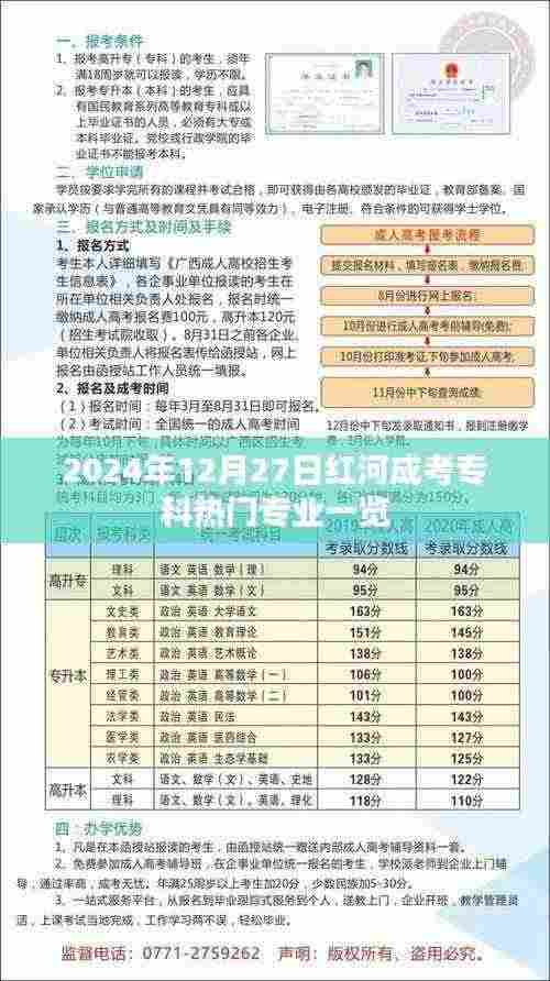 红河成考专科热门专业概览（2024年12月）