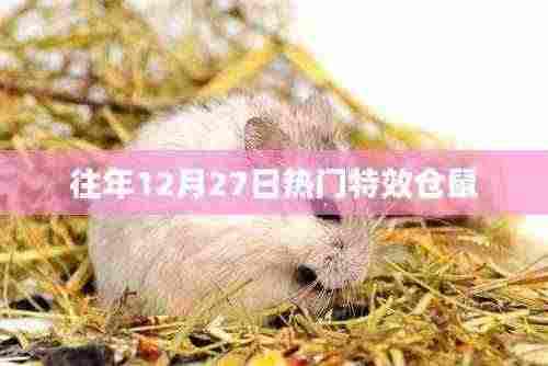 往年年末仓鼠特效盘点，热门特效回顾