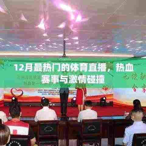 12月体育直播盛宴，热血赛事激情碰撞