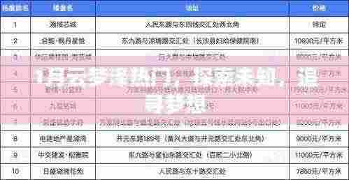 云梦泽探索，追寻梦想，探寻未知一月之旅