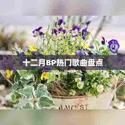 十二月BP热门歌曲盘点推荐