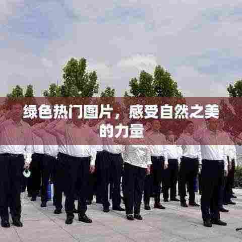 绿色自然之美，感受热门图片的震撼力量