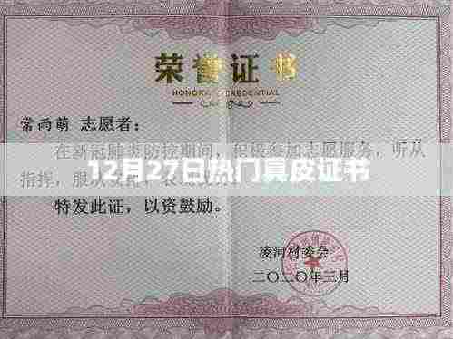 热门真皮证书揭晓，品质之选尽在掌握！