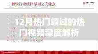 热门领域热门视频深度解析，揭秘十二月热点