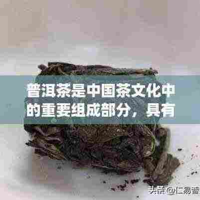 普洱茶热门品种特点介绍，历史与品质的魅力所在